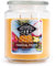 Candle-Brothers Große Duftkerze im Glas mit Deckel | Tropical Fruits | Duftkerze Fruchtig | Kerze 2 Docht | Kerze lange Brenndauer | Geschenk für Frauen