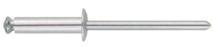 Index Refl4835 – Verzinkte Stahl-Nieten mit Hakenkopf 4,8 x 35