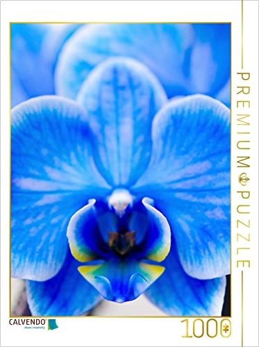 CALVENDO Puzzle Blau Phalaenopsis | 1000 Teile Lege-Größe 48 x 64 cm Foto-Puzzle für glückliche Stunden