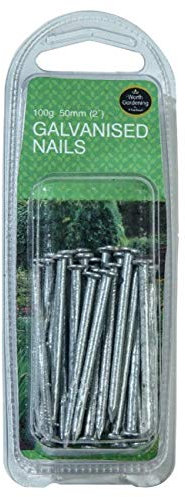 Garland 50mm (2) Galvanised Nails (100g)