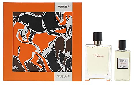 Hermès Terre D'hermes 2 Piece Gift Set: Eau De Toilette 100ml - Hair & Body Shower Gel 80ml