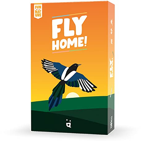 Helvetiq | Fly Home | Card Game | Ages 6+ | 2-4 Players | 30-60 Minutes Playing Time