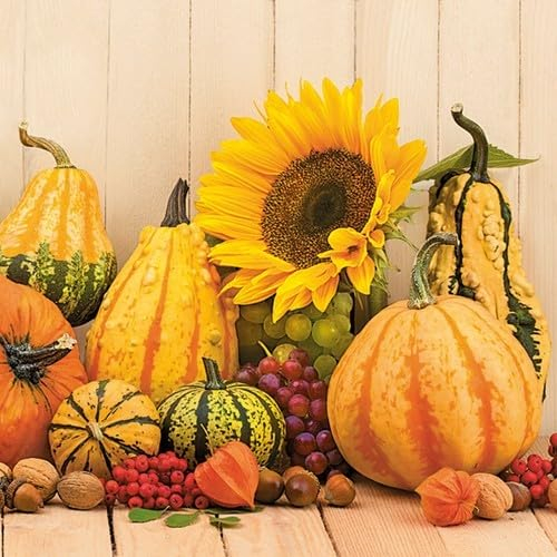 20 Servietten Kürbisse Sonnenblumen Herbstmotiv 33 x 33