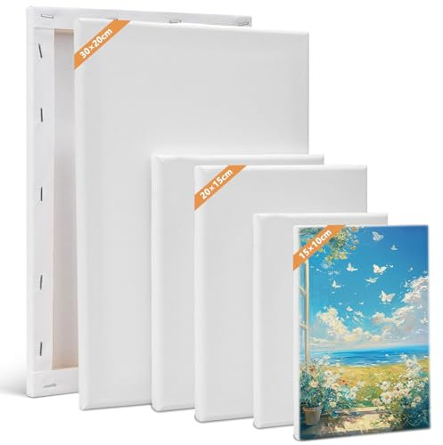 Leinwand Set, 6 Stück Leinwand zum Bemalen 30x20, 20x15, 15x10 cm (je 2 Stück), Keilrahmen Weiß Malen Canvas Künstlertafelbilder Leinwände für Acrylfarbe, Aquarell, Öl, Gouache