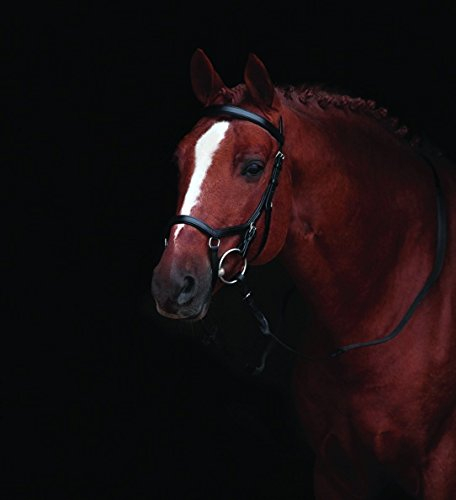 Horseware Rambo Micklem Competition Bridle Trense schwarz wählbare Größe (Standard Horse)