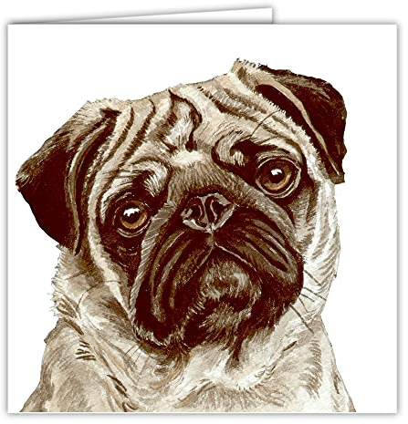 Maturi Blanko-Grußkarte mit Aquarellbild - Mops Hund