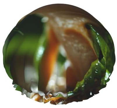 Duschhaube mit Frosch- und Regendruck, doppellagig, für Damen und Herren, für den Heimgebrauch