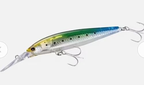 Lure Exsence Silent Assas 160F - 163mm 32g 022 C Sardin