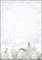 SIGEL DP013 Briefpapier Weihnachten, 25 Blatt, DIN A4 mit Silberprägung, White Stars, Weihnachtsbriefpapier aus nachhaltigem Papier