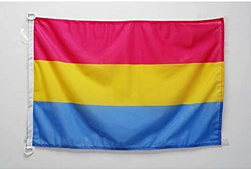 AZ FLAG - Drapeau Pansexualité - 45x30 cm - Pavillon Nautique Lgbt - Omnisexualité - Pansexuel Spécial Bateau Et Extérieur En Maille Bloquée Avec Anneaux Plastiques Intégrés - 30g