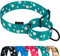 CollarDirect Martingale Halsbänder für Hunde, strapazierfähig, Blumenmuster, weiblich, Sicherheit, Nylon, Training, breites Halsband, Blumendesign (Grün Gänseblümchen, 30-43 cm)