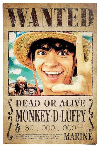 REINDERS Poster, One Piece - wanted monkey d. Luffy, Kinderzimmer, Poster, Wanddeko, Room Decor, Bilderdruckpapier, Braun, 91,5 x 61