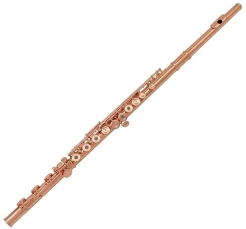 flûte traversière Flûte Plaquée Or Rose 17 Clés Trou Ouvert Pied B Avec Boîte