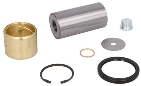 febi bilstein 06891 Achsschenkelbolzensatz Einzelsatz, 1 Stück