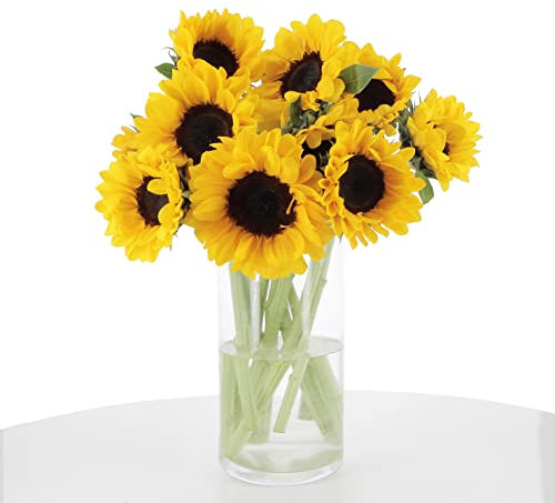 KENTIS - Bouquet di Fiori Veri - Mazzo di 10 Girasoli Veri - Mazzo di Fiori Freschi a Domicilio Regalo Anniversario con Biglietto Personalizzabile incluso