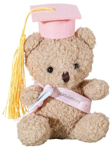 Bär-Spielzeug, weiches Plüschtier, süßer Bär, 13 cm, für Abschlussfeier, Geburtstag, Jubiläum, Andenken, emotionales Geschenk, gemütliche Dekoration für Kinder, Erwachsene und Tod