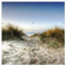 Wallario XXL Outdoor-Poster für Garten oder Balkon Weg durch die Dünen zum Strand am Meer, Motivbanner Größe: ca. 180 x 180cm, 2-teilig, Outdoor-Bild