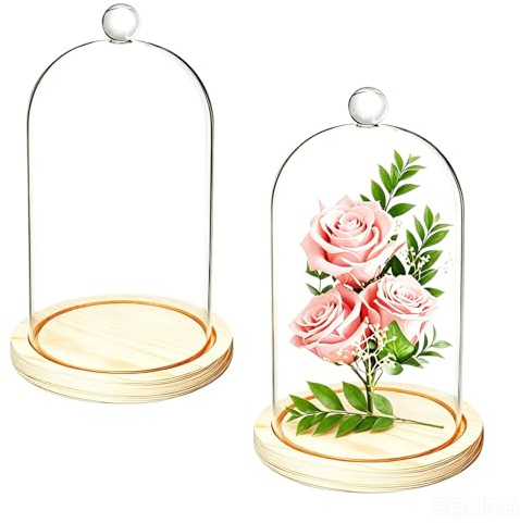 Lyellfe 2 Pack Cloche Glass Dome, 8'' x 5'' Dome Cloche with Rustic Wooden Base, Glass Cloche Bell Jar Display for Plants, Fairy Lights or Table Decor