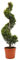 KENTIS - Cupressocyparis Leylandii Gold Rider con Decorazione Vaso in Juta - Cipresso Spirale Piante Vere da Esterno - Pianta da Giardino - H 140/160 cm Vaso Ø 30 cm