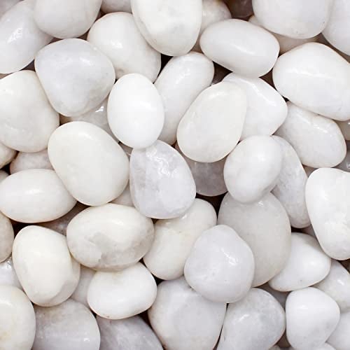 Aleker Galets blancs naturels de 1,8 kg - Pierres décoratives - Pour jardin, pots de fleurs, vases, travaux manuels, aquarium, aménagement paysager, étang, aquarium, bricolage, décoration d'intérieur
