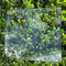 wasserdichte Transparente Plane, Wetterfeste Strapazierfähige Planen mit Ösen, Faltbar 0,35mm PVC-Material Vordächer für Gärten, Gewächshaus, Pflanzen, Pet Dach Tarp, Seil enthalten