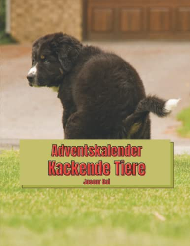 Adventskalender Kackende Tiere: 25 lustige Motive als Geschenkidee zu Weihnachten für Männer, Frauen, Kinder und Senioren