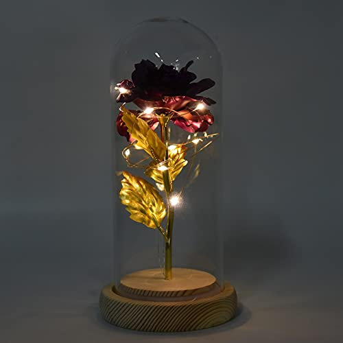 La bella e la bestia rosa, rosa incantata in cupola di vetro con luci a LED, regalo di rose conservate per la festa della mamma, San Valentino, anniversario di matrimonio (ON/OFF)