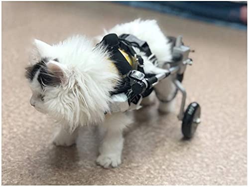 Hund Rollstuhl Für Hinterbeine, 2 Räder Einstellbare Hunderollstuhl Für Haustiere Rehabilitation Kleine Hunde Rollwagen Gehhilfe Hundegehilfe Für Behinderte Hund Gehweg Auto