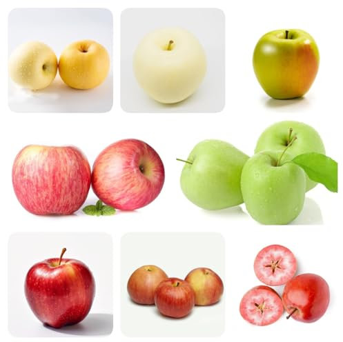 500 pcs Apfelbaum Samen - Apfel Samen - obstbaum obst samen steingartenpflanzen winterhart Samen Für Apfelbaum bäume kaufen nachhaltige geschenke für frauen säulenobst balkonpflanzen