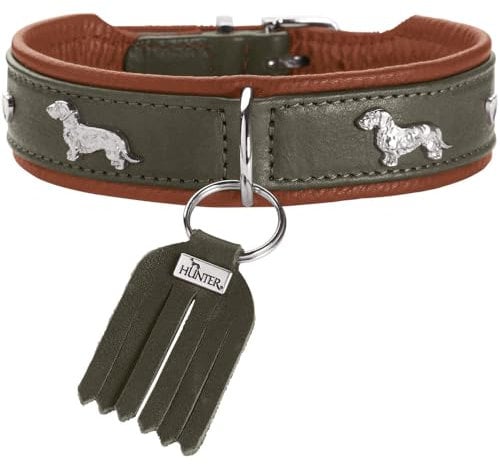 HUNTER Teckel-Halsband MÜNCHEN, Farbe: grün/Cognac, Leder, edle Dackel-Besätze, weich und robust, fellschonend, luxuriös, ökologisch hergestellt, nachhaltig, Made in Germany, Größe: 37