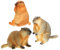 Levemolo 3st Simulierte Wilde Tiere Spielzeug Simulation Realistischer Murmeltierfiguren Murmeltier-Statue Murmeltier Dekoration Gefälschte Murmeltierfiguren Simulation Tierfigur Plastik