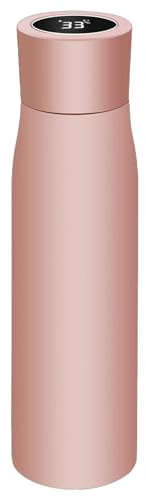 Bouteille avec affichage de la température - Bouteilles d'eau en acier inoxydable - Gobelet isotherme à LED - Bouteille isotherme en acier inoxydable avec large ouverture - Bouteille isolée aux UV