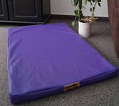 Hundebettenmanufaktur Hundematratze Hundebett beidseitig Kunstleder Schaumstoff 5 cm Verschiedene Größen und Farben wählbar (120 cm X 80 cm, Lavendel)