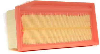 RIDEX 8A1622 Filtro aria motore Cartuccia filtro con prefiltro