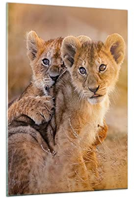 Moderne Impression sur Verre leone natura animale Image Tableau en Verre Decoration Murale 50x70cm Deco Salon Chambre Cuisine Vertical Petit Tableaux Decoratifs Muraux Art Wall Decor GPA50x70-3480