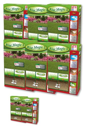 Rise Magic 3 - Saatgut für Rasen - 6 Packungen Rasensamen - Kältebeständigkeit - Krankheiten - 320 m² - ökologisch und biologisch - 6 Stück - 2 Packungen Geschenk !