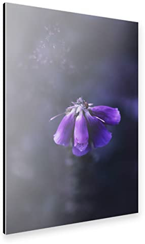 artboxONE Alu-Print 90x60 cm Fuchskraut von Künstler LinaTea