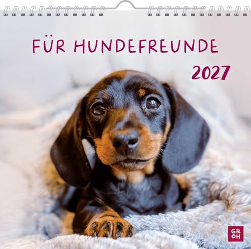 Wandkalender 2027: Für Hundefreunde: Hundekalender mit niedlichen Hundefotos und Zitaten für Hundeliebhaber. Monatskalender zum Aufhängen