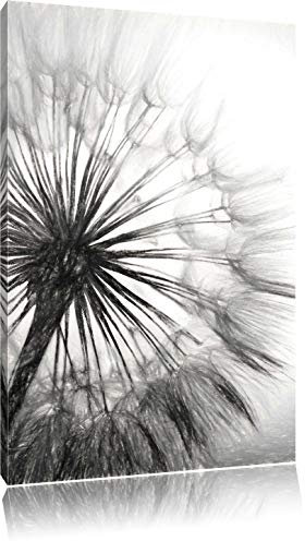 Pixxprint Schöne Pusteblume Kohle Zeichnung Effekt, Größe: 100x70cm, Leinwandbild, fertig gespannt, Wandbild, Dekoration, Kunstdruck, kein Poster