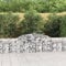 FUDUGEHMIOFWFJJ teichwanne,blumenkasten hoch,Gabionen mit Hochbogen 6 STK. 300x30x60/80 cm Verzinktes EisenGeeignet für Garten, Terrasse, Schlafzimmer, Wohnzimmer