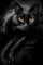 1000 Pieces Adult Jigsaw Puzzle Wooden Puzzle Black Cat For Teenagers And Adults Very Good Educational Game