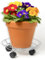 IPEA Carrello Sottovaso con Ruote per Vasi e Fioriere - 32 cm - Supporto Base Mobile in Metallo per Piante e Fiori per Casa, Balcone, Giardino - Ideale Per Muovere Vaso Pesante