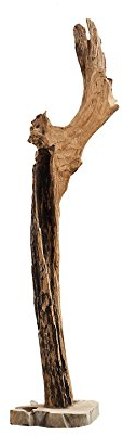 invicta INTERIOR Große Stand Natur Skulptur Reef Treibholz Teak 100-125 cm Massivholz Statuette Statue Holzdekoration Dekoration