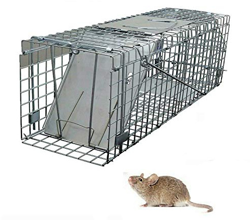 Autofather Tierfalle Lebendfalle Fang und Kaninchen Eichhörnchen Waschbär – 61 x 19 x 21 cm – Metallkonstruktion