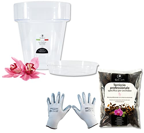 GebEarth - Kit de trasplante de orquídeas: Maceta Transparente para orquídeas, 4 Agujeros de Drenaje y platillo + Tierra específica para orquídeas 1L, Guantes de jardinería (14cm)