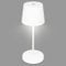 BRILONER - Lampada da tavolo a LED senza fili, lampada da comodino dimmerabile touch, lampada da scrivania, ricaricabile, a batteria, IP44, USB-C, luce bianca calda, 2,6W, 150lm, 105x260mm, bianco