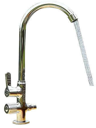 Außenwasserhahn aus Messing, frostfreier Wasserhahn für Hof/Hydrant, gewerblicher Küchenspülenhahn, Kaltwasserhahn zur Bardeckmontage mit Versorgungsleitung und 2 separaten Ventilschaltern (Gold) (Sil