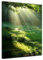 Bilderdepot24 Bild auf Leinwand | Wiese in 50x70 cm als Wandbild | Wand-deko Dekoration Wohnung modern Bilder | 16116
