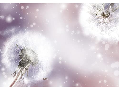 Runa Art Papier peint intissé pissenlit fleurs 352 x 250 cm Toison Mur XXL Tableaux Muraux Tapisserie Photo Décoration Murale Salon Chambre violet 9401011b