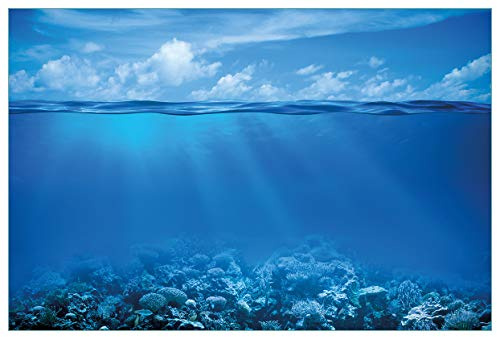 Wallario Küchenrückwand selbstklebend 90 x 60 cm, Motiv: Unterwasserwelt Meer | Spritzschutz abwischbar & pflegeleicht